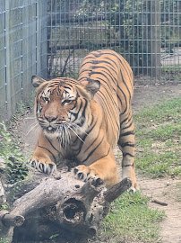 BREC's Baton Rouge Zoo photo 5