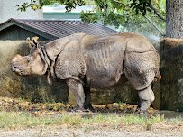 BREC's Baton Rouge Zoo photo 6
