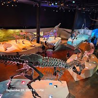 Houston Museum of Natural Science