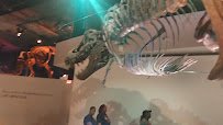 Houston Museum of Natural Science photo 2