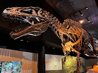 Houston Museum of Natural Science photo 3