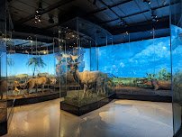 Houston Museum of Natural Science photo 4