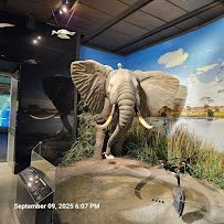 Houston Museum of Natural Science photo 6