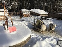 Petting Zoo photo 5
