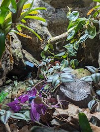 Norristown Zoological Society