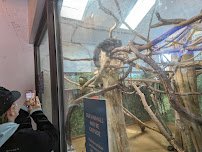 Norristown Zoological Society photo 2