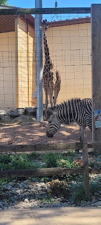 Norristown Zoological Society photo 3