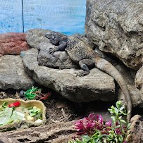 Norristown Zoological Society photo 4