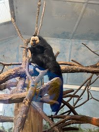 Norristown Zoological Society photo 5