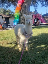 Rah-Rah Ranch, LLC Mobile Petting Zoo & Pony Rides photo 5