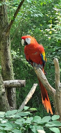 Queens Zoo photo 6