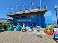 Aquarium of the Bay photo 4