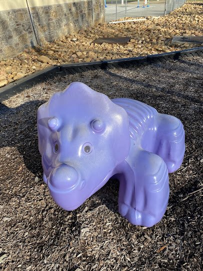 White Pine Splash Pad photo 4