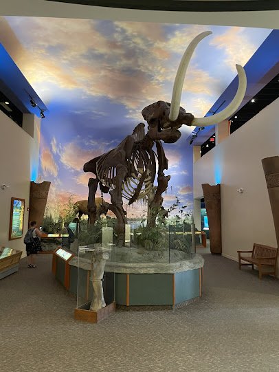 The Bishop Museum of Science and Nature photo 5