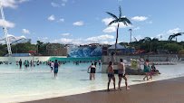 Mt. Olympus - Water & Theme Park Resort photo 2