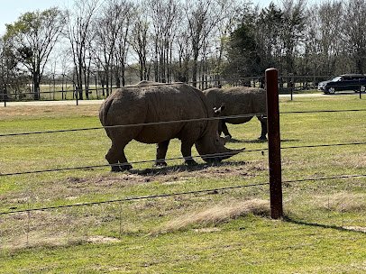 Zoofari, Kaufman Texas photo 4