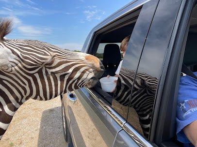 Zoofari, Kaufman Texas photo 6