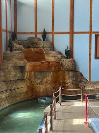 Knott's Berry Farm photo 3