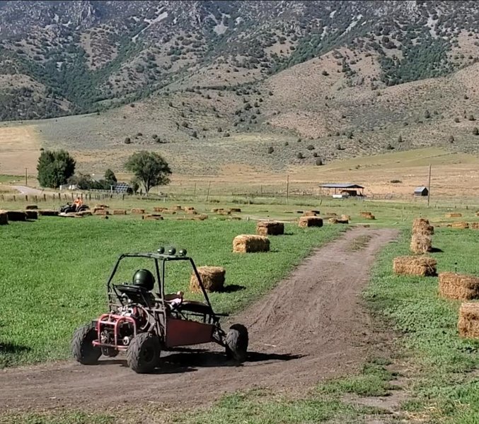 Lava Hot Go-Karts photo 4