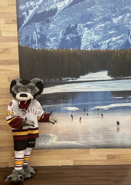 Top Shelf Ice Arena and Bar & Grill photo 6