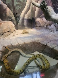 Reptile and Amphibian House photo 4
