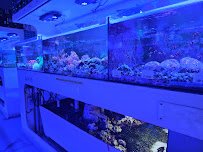 Neptune Aquatics photo 4