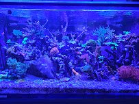 Neptune Aquatics photo 5