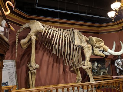 Grand Rapids Public Museum photo 4