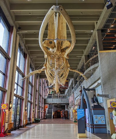 Grand Rapids Public Museum photo 5