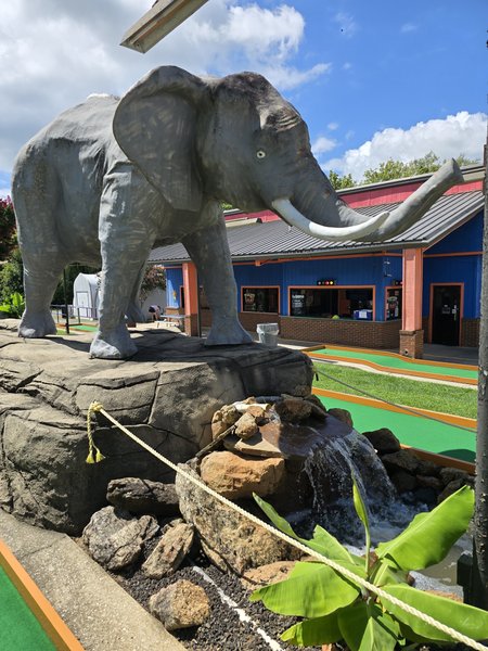 Putt-Putt Fun Center photo 6