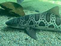 Ocean World photo 6