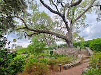 Cummer Museum of Art & Gardens photo 4