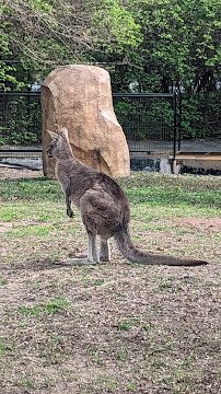 Australian Adventure photo 2