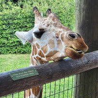 Australian Adventure photo 3