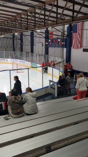 Nelson Center Ice Rink photo 2