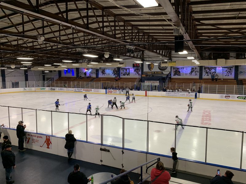 Nelson Center Ice Rink photo 3