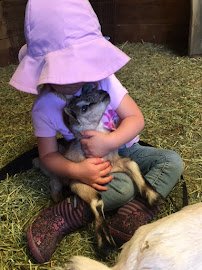 Hawks Ranch Petting Zoo, LLC