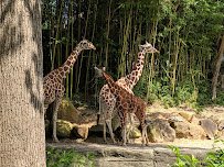 Riverbanks Zoo & Garden photo 4