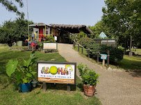 Aloha Mini Golf & Shave Ice photo 6