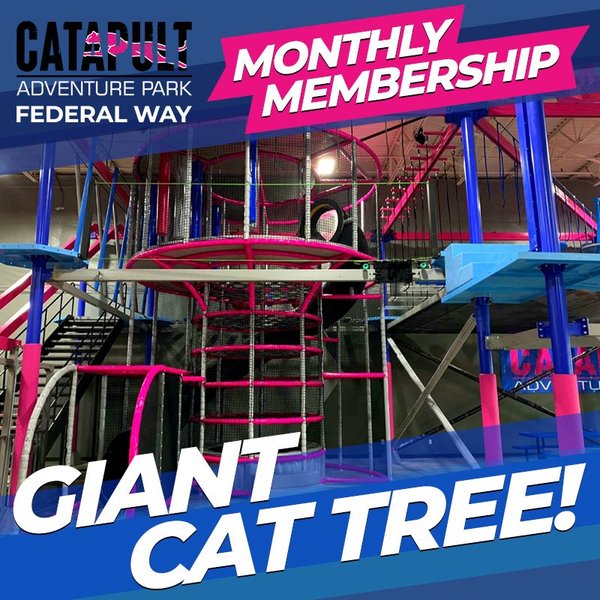 Catapult Adventure Park photo 3