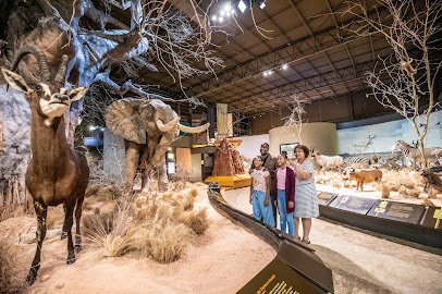 Anniston Museum of Natural History