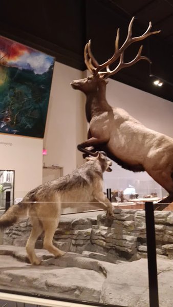 Anniston Museum of Natural History photo 2