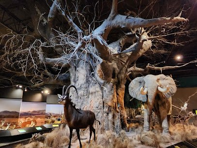Anniston Museum of Natural History photo 4