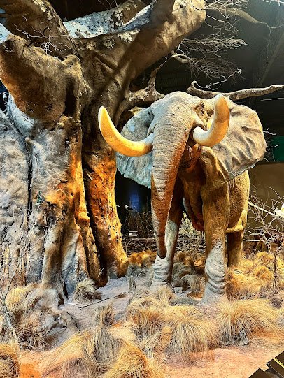 Anniston Museum of Natural History photo 5