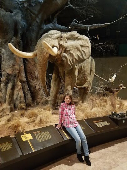 Anniston Museum of Natural History photo 6
