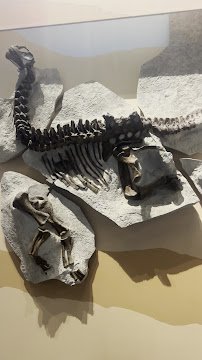 Maryland Science Center photo 2
