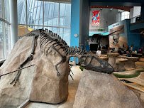 Maryland Science Center photo 4