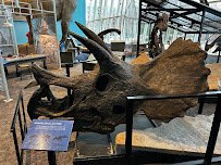 Maryland Science Center photo 5