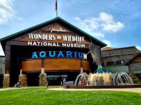 Wonders Of Wildlife National Museum & Aquarium