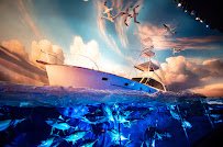 Wonders Of Wildlife National Museum & Aquarium photo 6